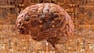 Introduction to Deep Learning & Neural Networks with Keras